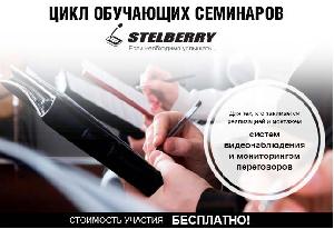      «Mystery STELBERRY» 14 